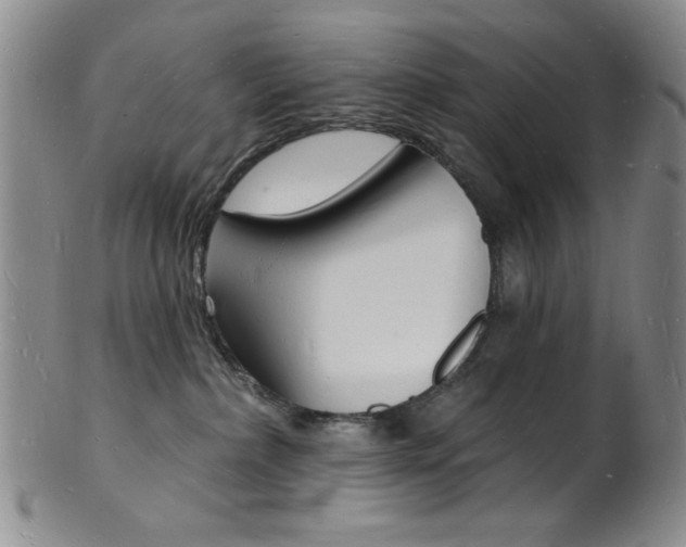 X0000101690236200807101215