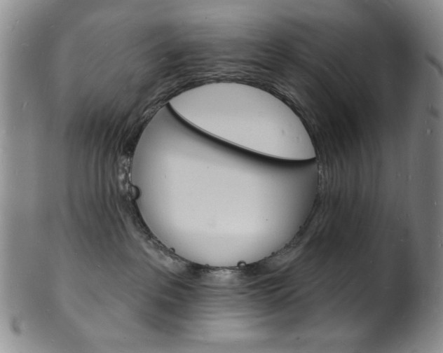 X0000101690237200807101215