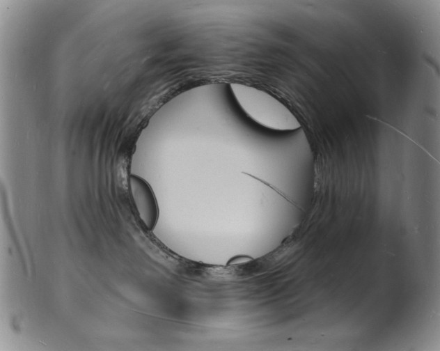 X0000101690238200807101215