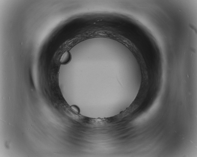 X0000101690239200807101215
