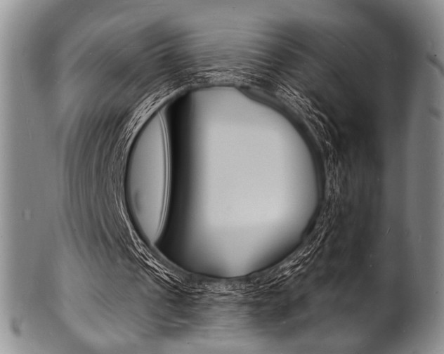 X0000101690241200807101215