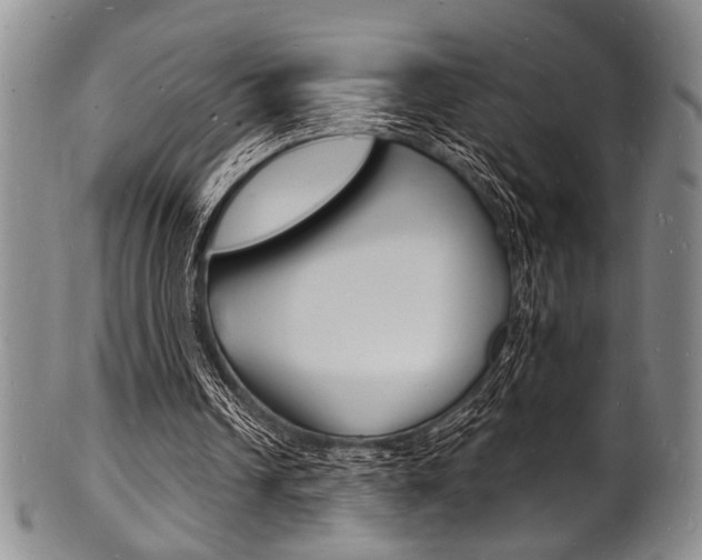 X0000101690242200807101215