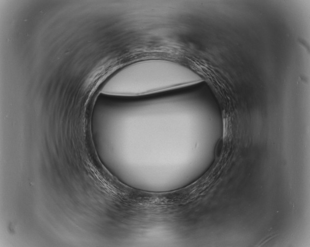 X0000101690243200807101215