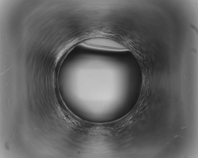 X0000101690244200807101215