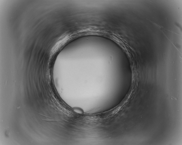X0000101690245200807101215