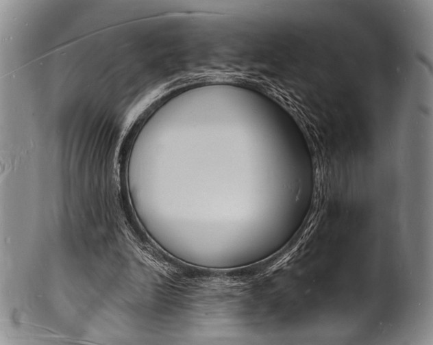 X0000101690246200807101215