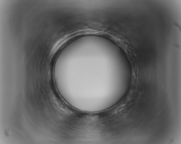 X0000101690247200807101215