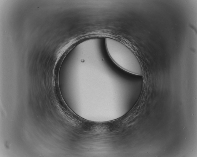 X0000101690248200807101215