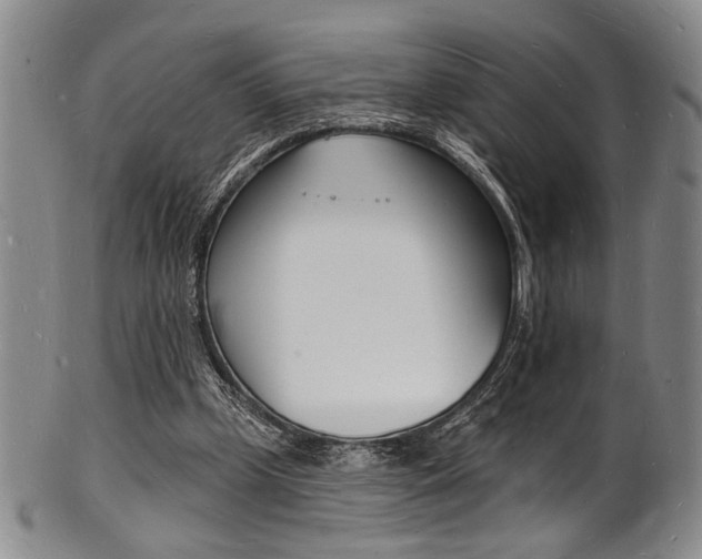 X0000101690249200807101215