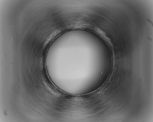 X0000101690250200807101215