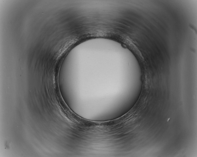 X0000101690251200807101215