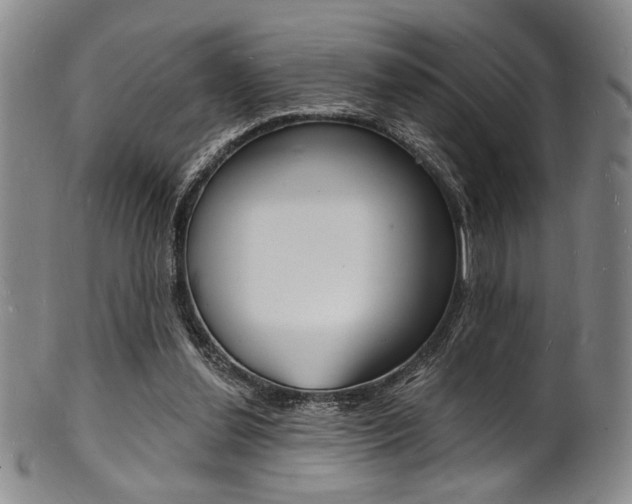 X0000101690252200807101215