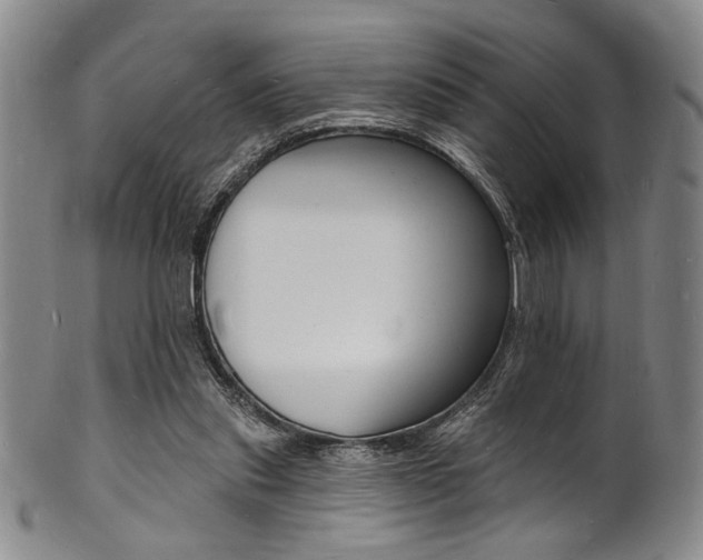 X0000101690253200807101215