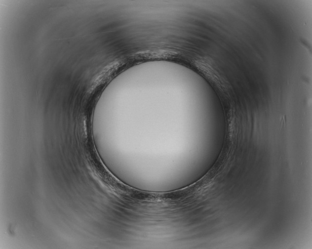 X0000101690254200807101215