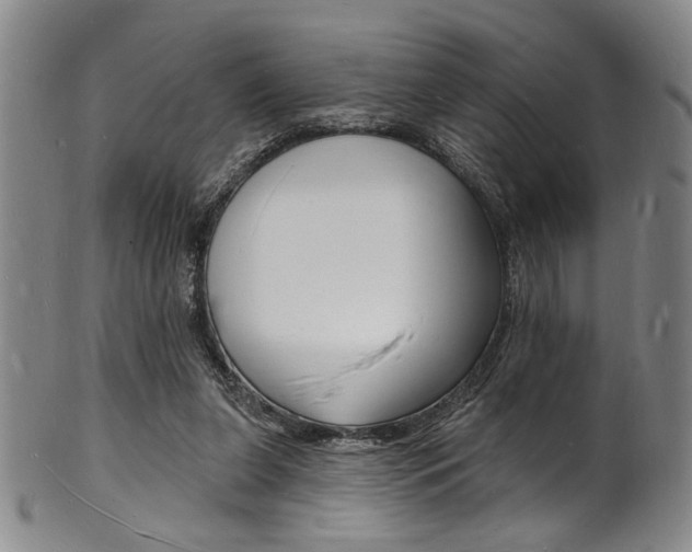 X0000101690255200807101215