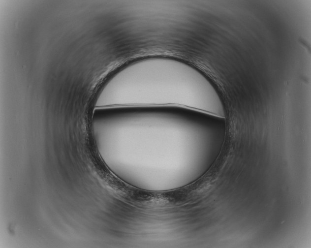 X0000101690256200807101215