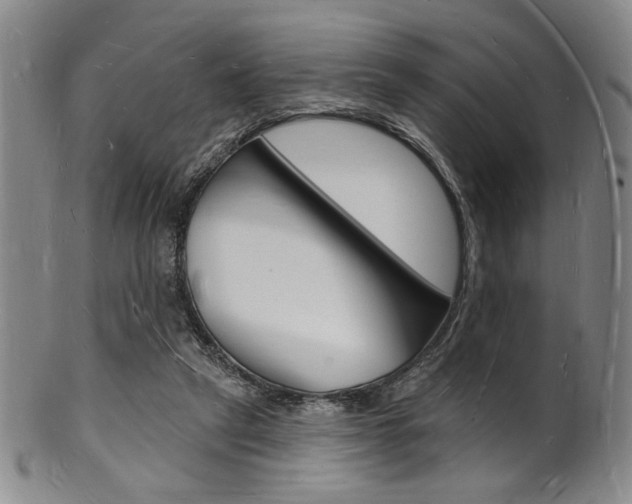 X0000101690257200807101215
