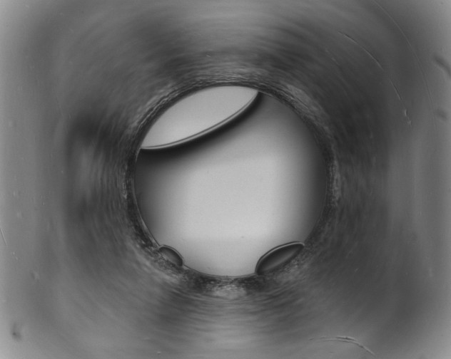 X0000101690258200807101215