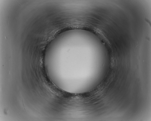 X0000101690259200807101215