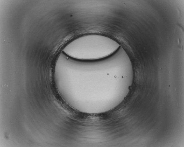 X0000101690260200807101215