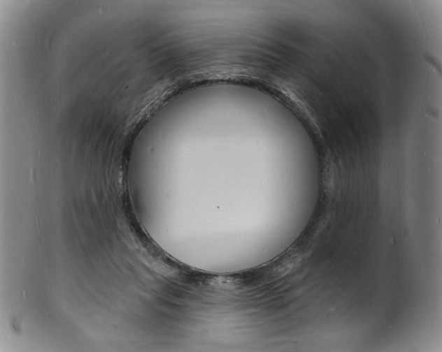 X0000101690261200807101215