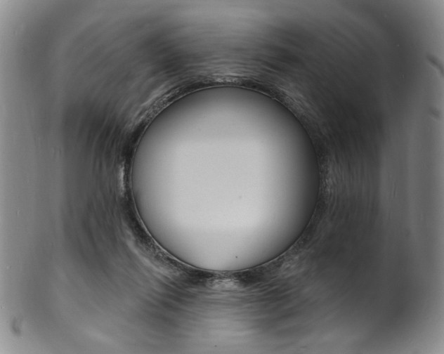 X0000101690262200807101215