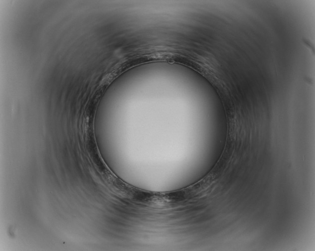 X0000101690263200807101215