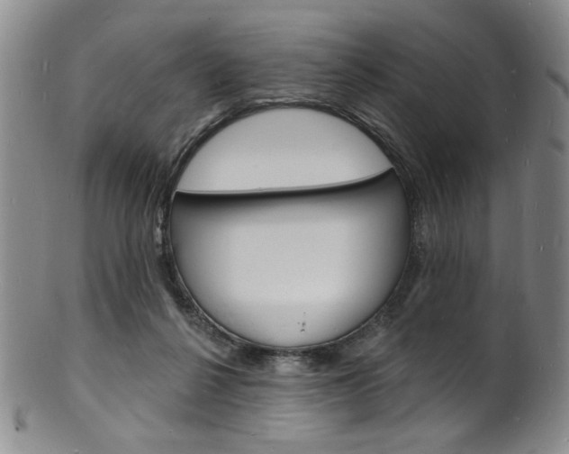X0000101690264200807101215