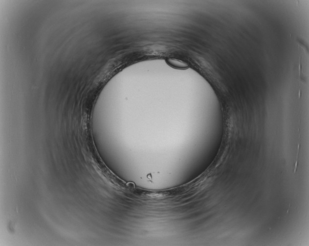 X0000101690265200807101215