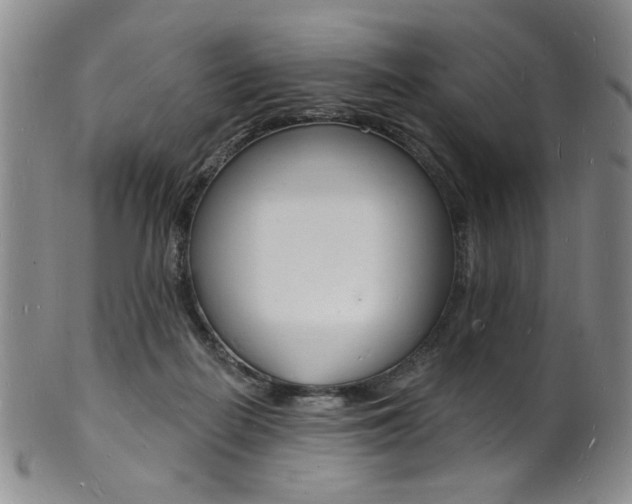 X0000101690266200807101215