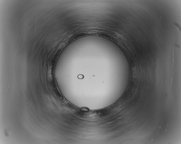 X0000101690267200807101215
