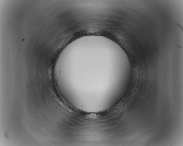 X0000101690269200807101215