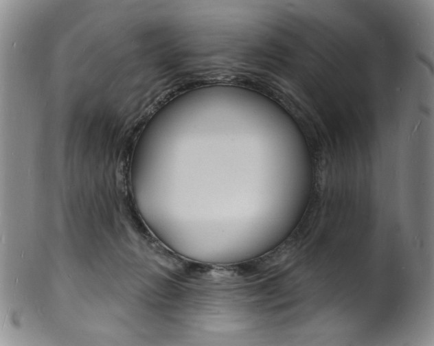 X0000101690270200807101215