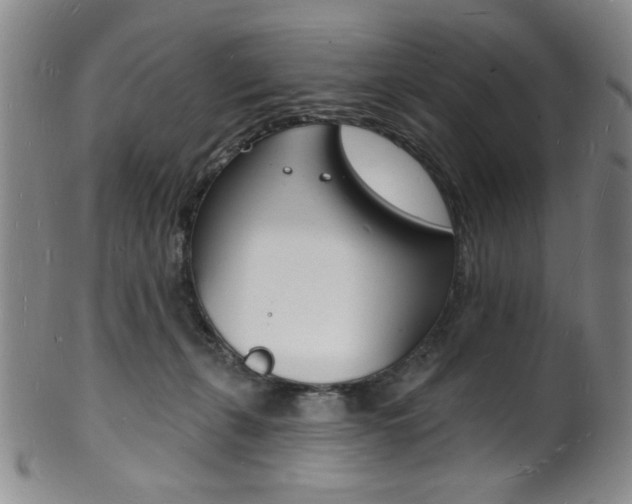 X0000101690271200807101215