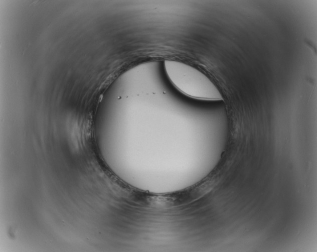 X0000101690273200807101215
