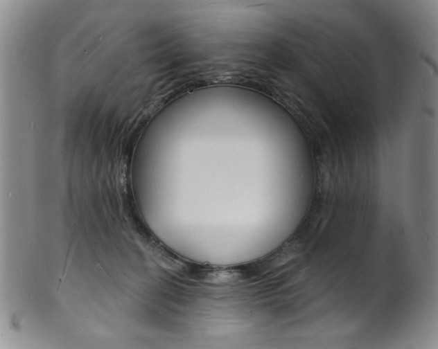X0000101690274200807101215