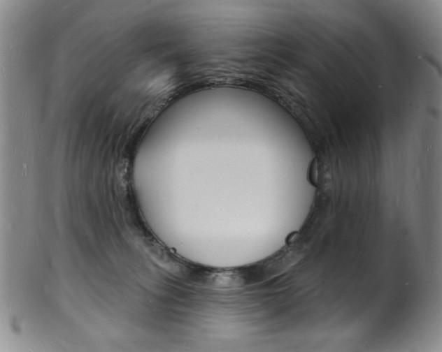 X0000101690275200807101215