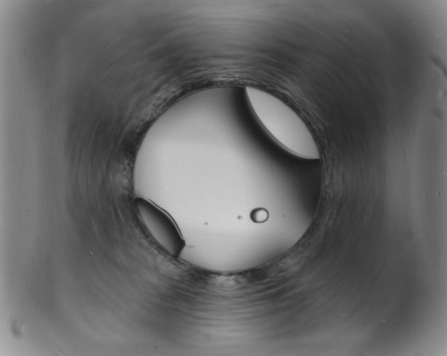 X0000101690277200807101215