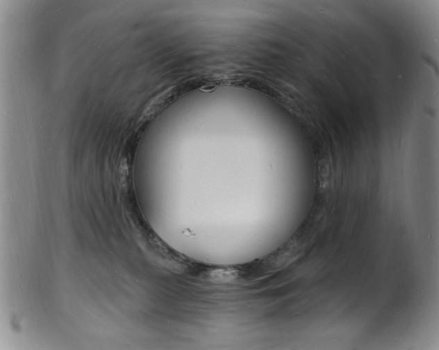 X0000101690279200807101215