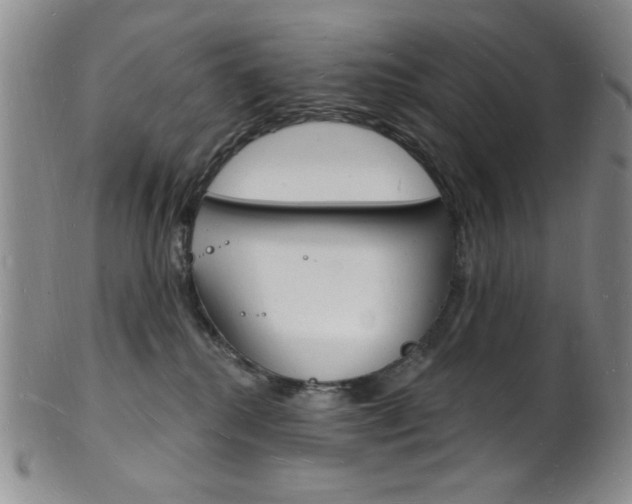 X0000101690280200807101215