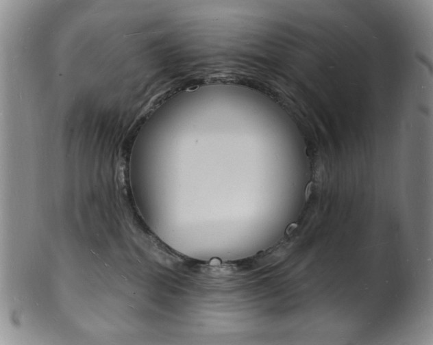 X0000101690282200807101215
