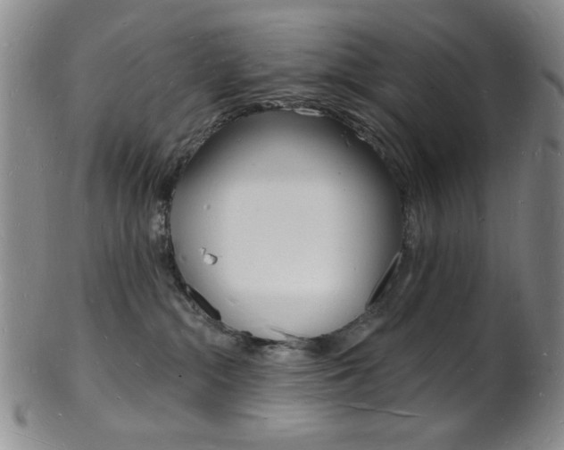 X0000101690284200807101215