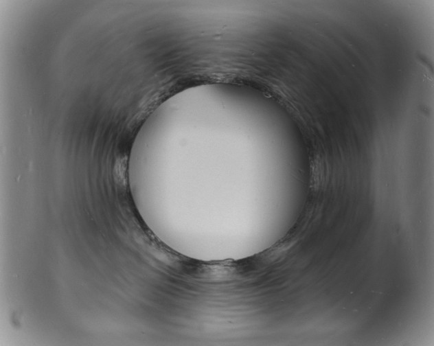 X0000101690286200807101215