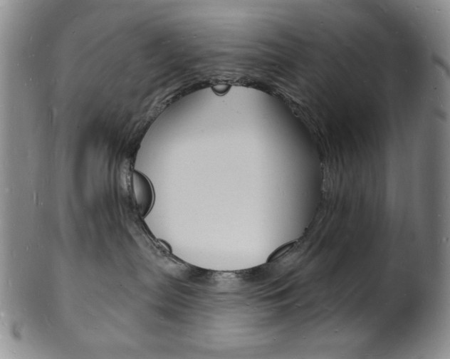 X0000101690287200807101215