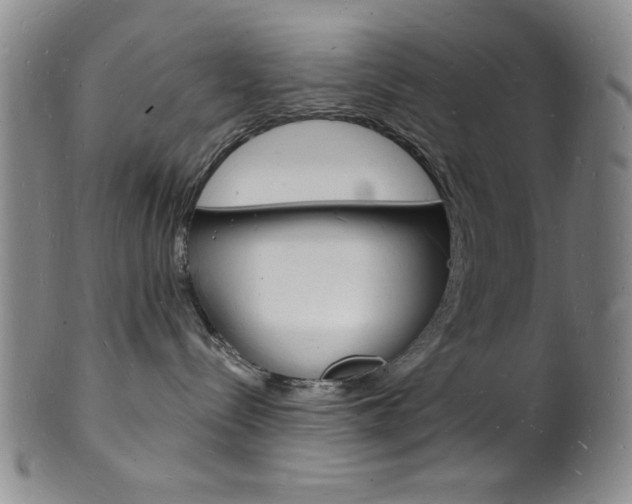 X0000101690288200807101215