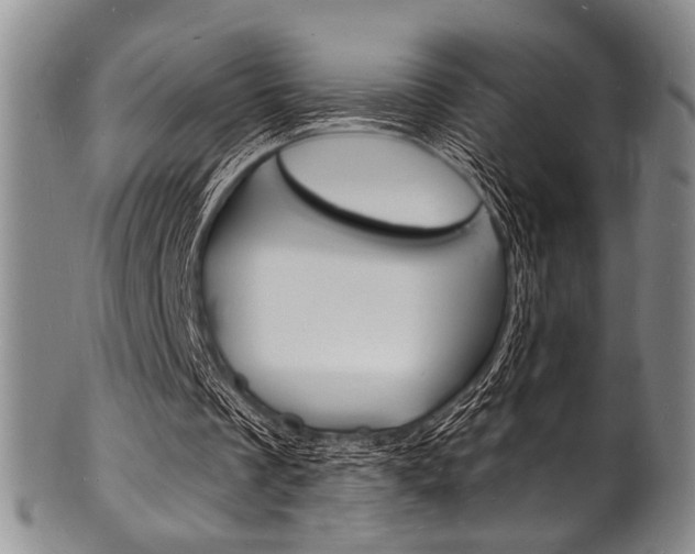 X0000101690289200807101215