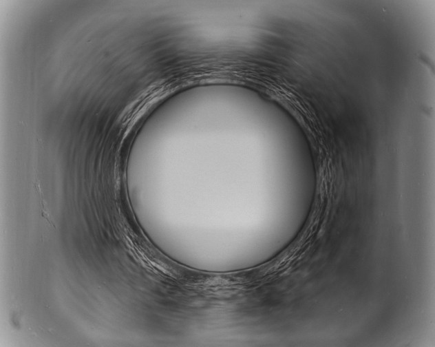 X0000101690290200807101215