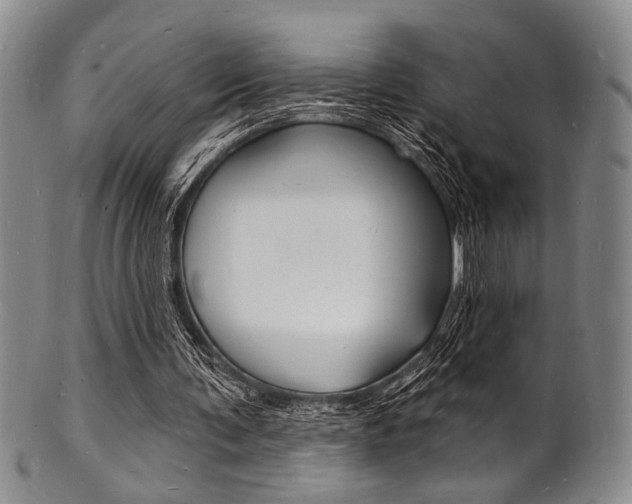 X0000101690291200807101214