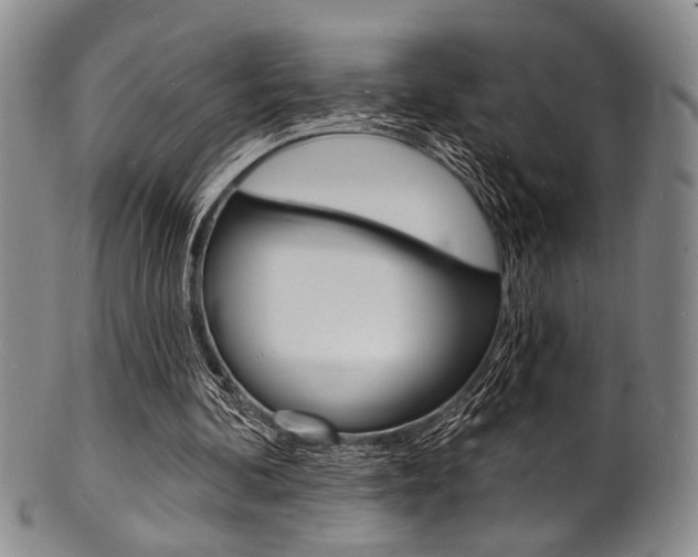 X0000101690292200807101214