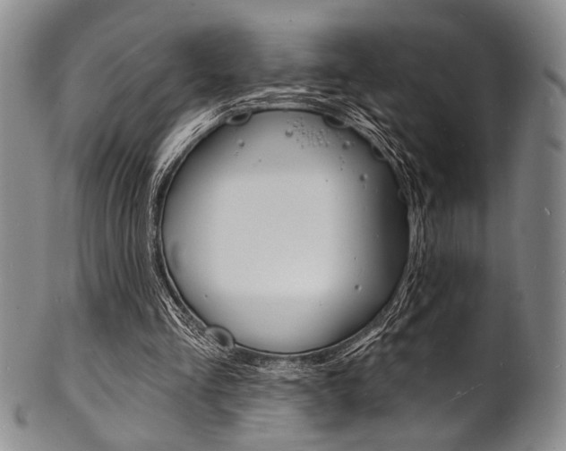 X0000101690293200807101214